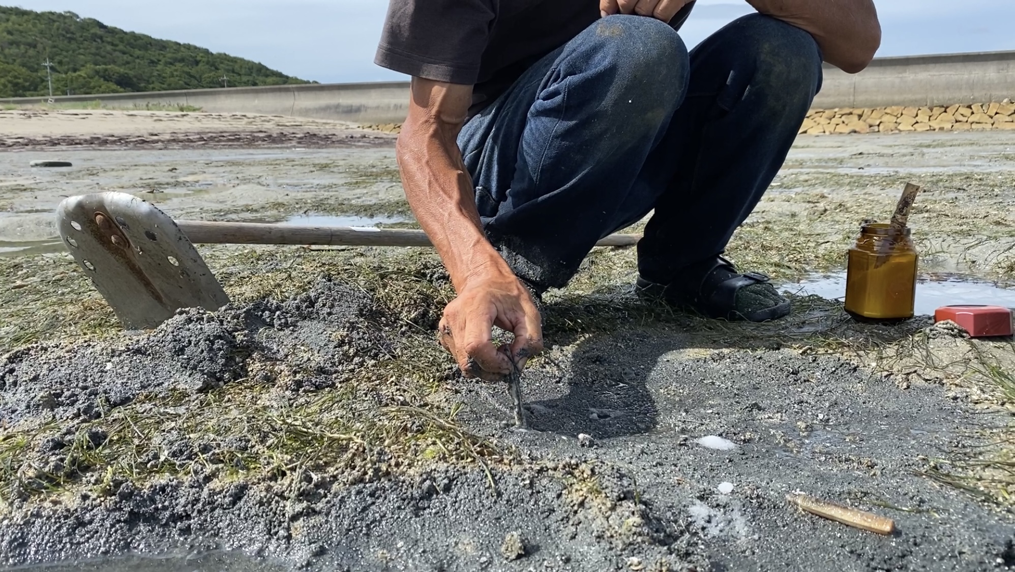 マテ貝の巣に塩をかけるとでてくるのは何故か 獲り方 食べ方を動画で紹介 自然 農業 むら