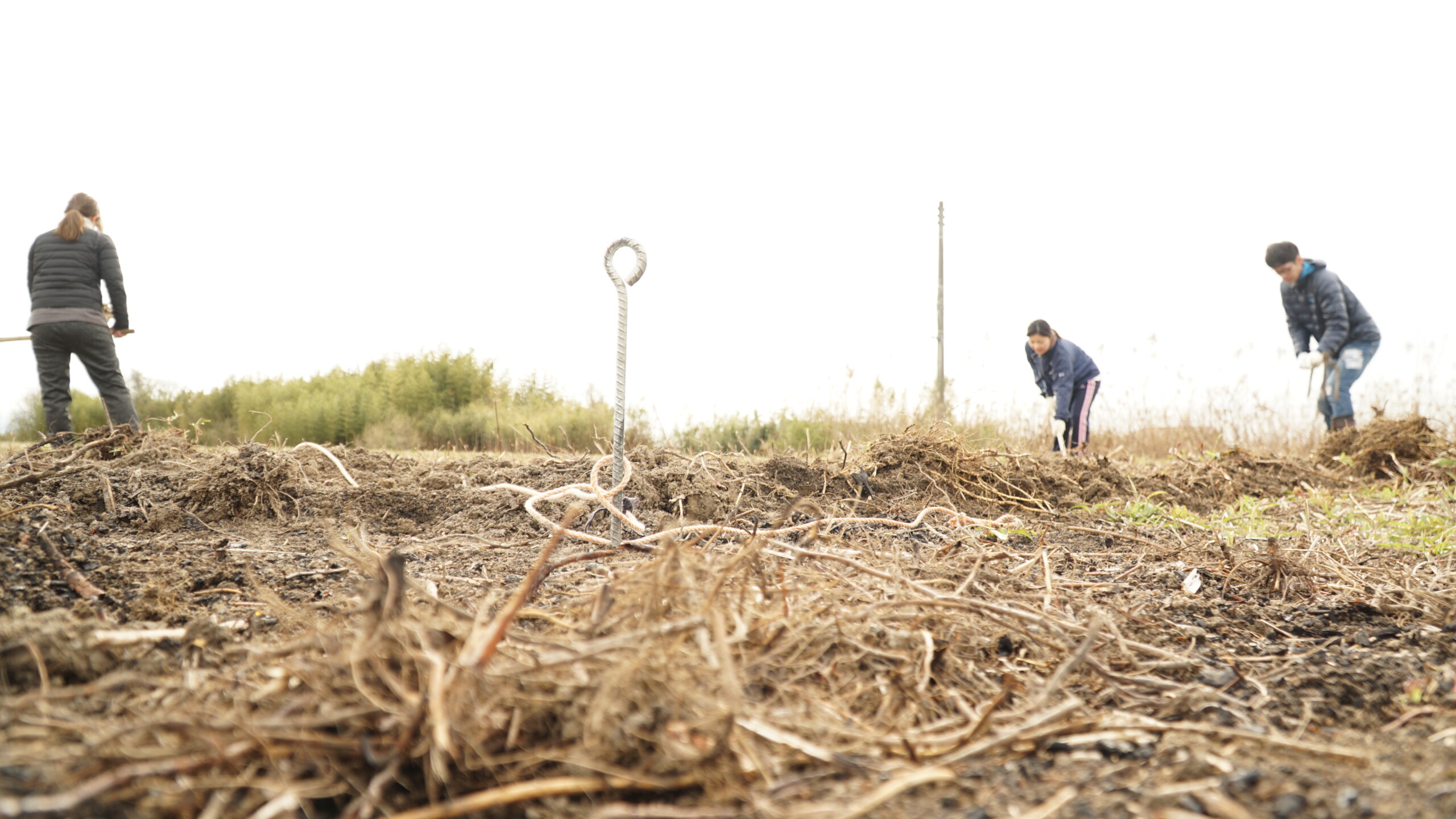 腐葉土の使い方 肥沃な土壌を作るための用途別活用方法 Natural Plus